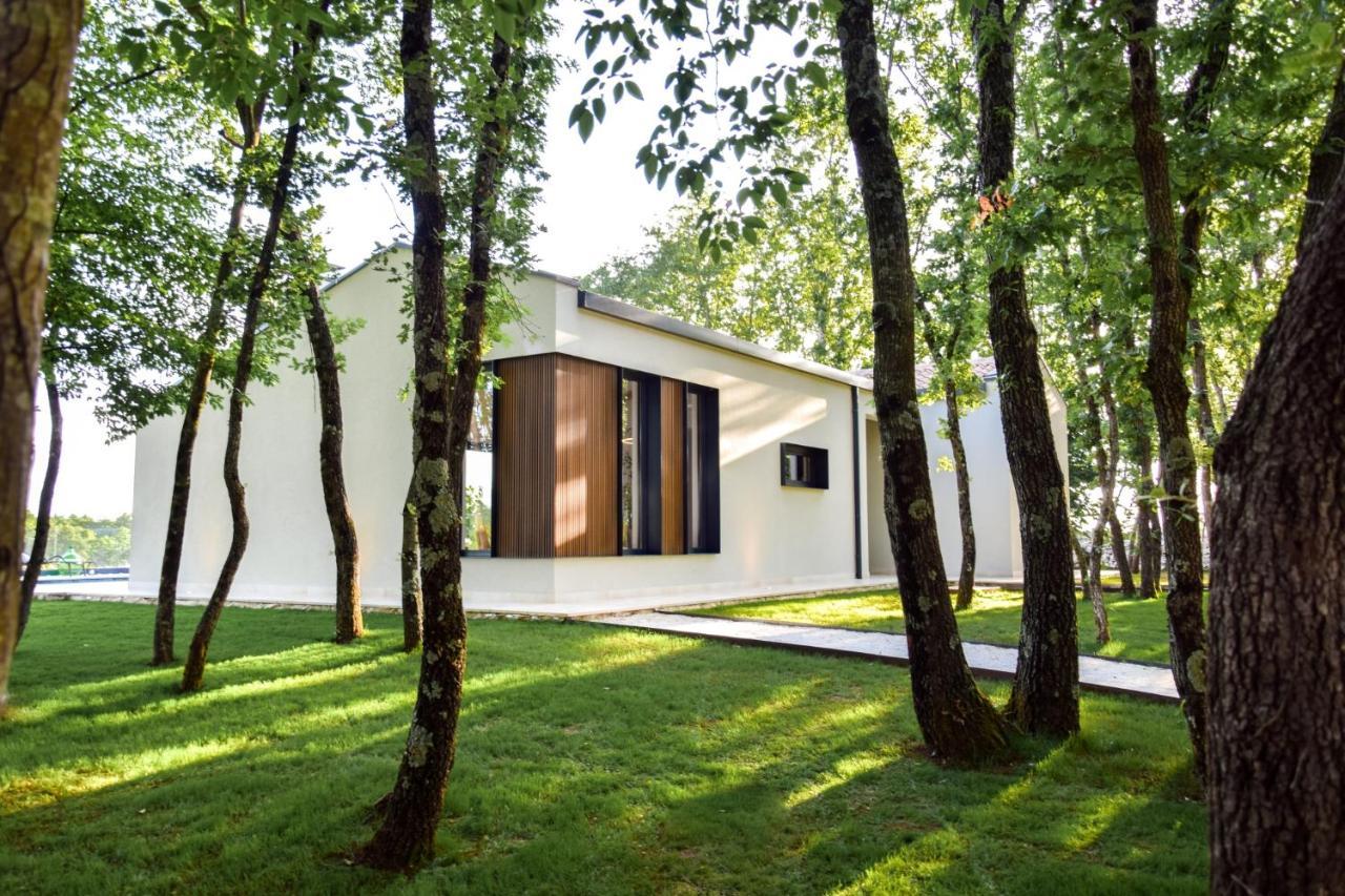 Вілла Casa Bosca With Heated Pool Sveti Petar u Sumi Екстер'єр фото