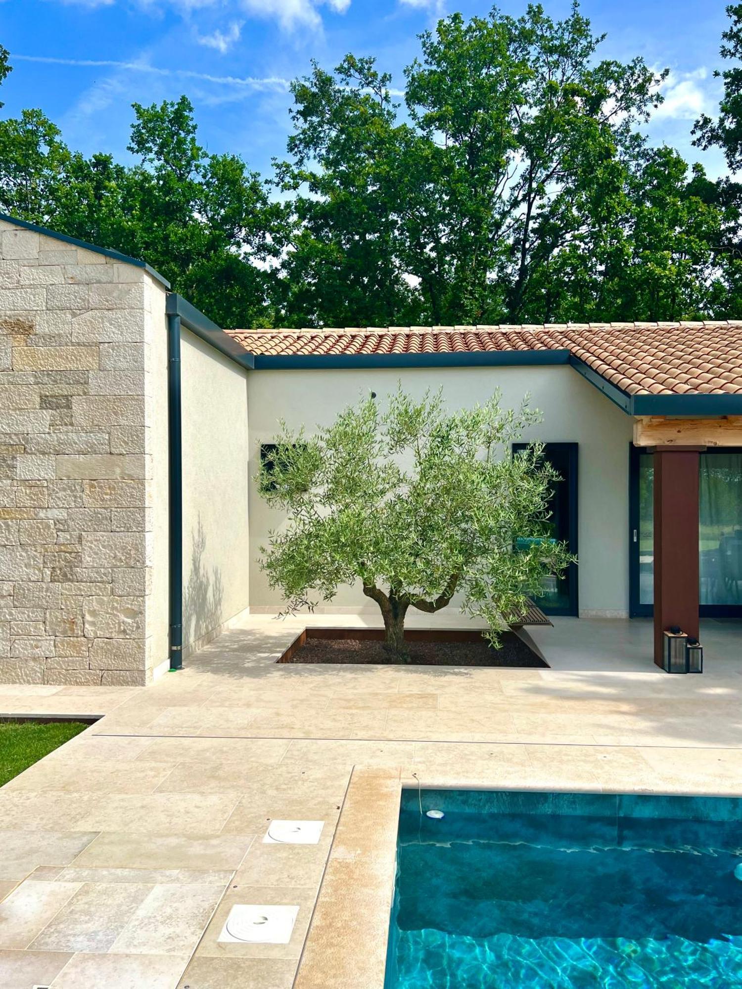 Вілла Casa Bosca With Heated Pool Sveti Petar u Sumi Екстер'єр фото